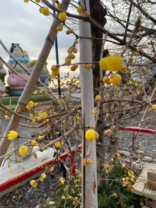 磐裂根裂神社(栃木県)