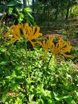 沙沙貴神社(滋賀県)