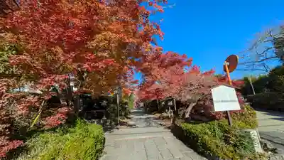 常照寺(京都府)