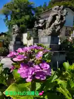 石都々古和気神社(福島県)