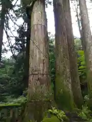 瀧尾神社（日光二荒山神社別宮）の自然