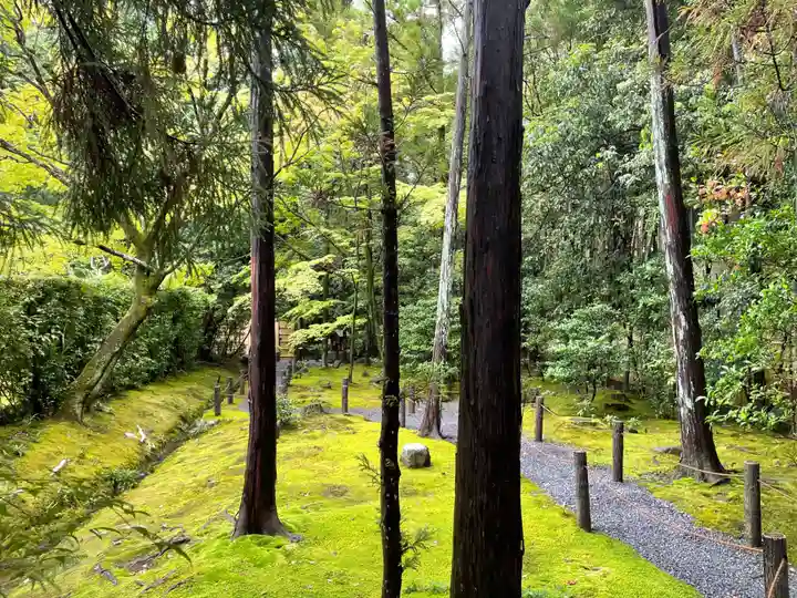 桂春院(京都府)