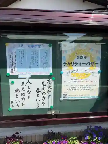 自然寺の{uncategorized: "未分類", other: "その他", undefined: "問題あり", building: "その他建物", grave: "お墓", sacred_gate: "鳥居", guardian: "狛犬", statue: "像", buddha: "仏像", history: "歴史", nature: "自然", garden: "庭園", animal: "動物", pagoda: "塔", temizu: "手水舎", mountain_gate: "山門・神門", sanctuary: "本殿・本堂", subordinate: "末社・摂社", art: "芸術", scenery: "景色", jizo: "地蔵", ema: "絵馬", goshuin: "御朱印", omikuji: "おみくじ", items: "授与品その他", amulet: "お守り", goshuincho: "御朱印帳", eats: "食事", festival: "お祭り", votive_dance: "神楽", shichigosan: "七五三参", wedding: "結婚式", experience: "体験その他", initially: "初詣", around: "周辺", anti_infection: "感染症対策"}