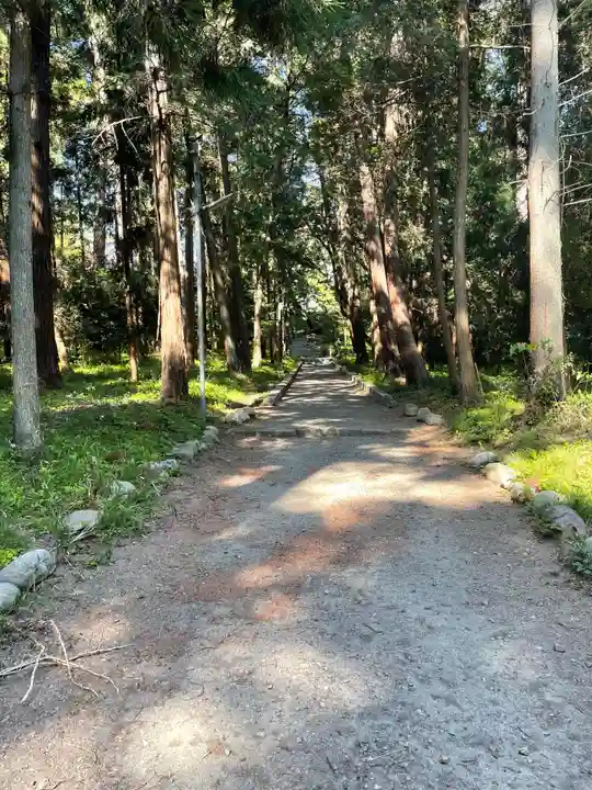 賀茂神社の自然