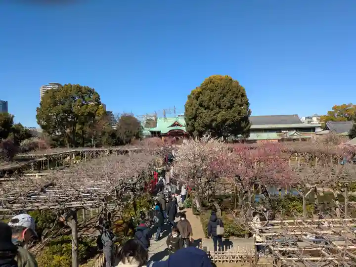 亀戸天神社(東京都)