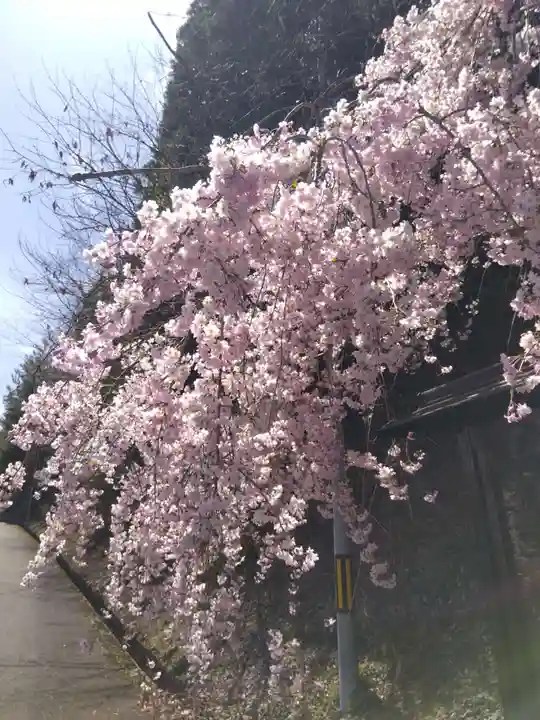 永林寺(京都府)