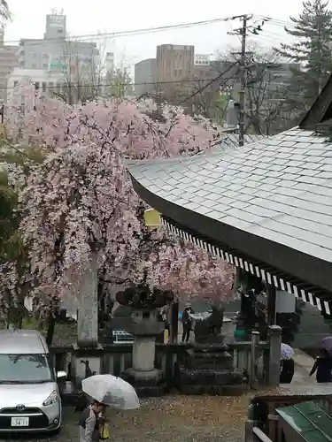 櫻山神社の景色