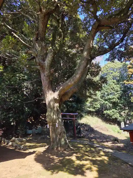 百草八幡神社(東京都)