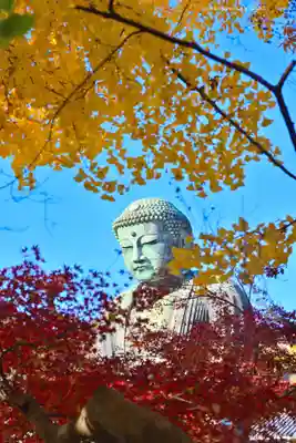 高徳院(神奈川県)