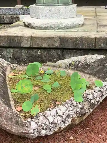 高福寺(栃木県)