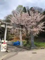 出雲大社福井分院(福井県)