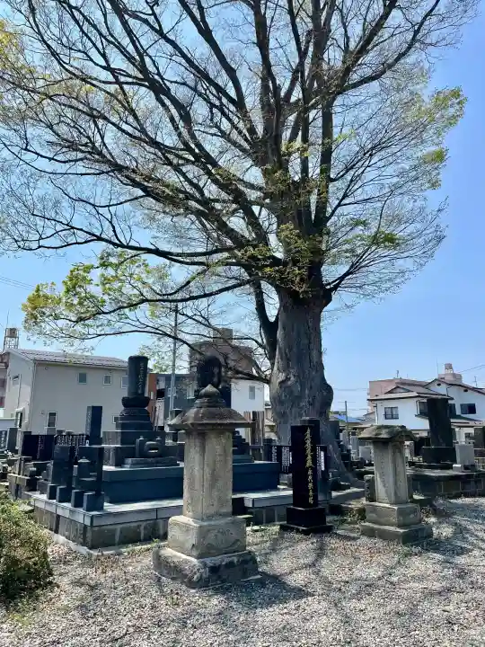 久福寺(福島県)