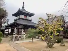 称名寺の本殿