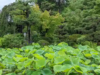 法金剛院(京都府)
