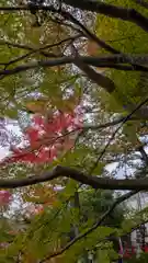 出雲大神宮(京都府)