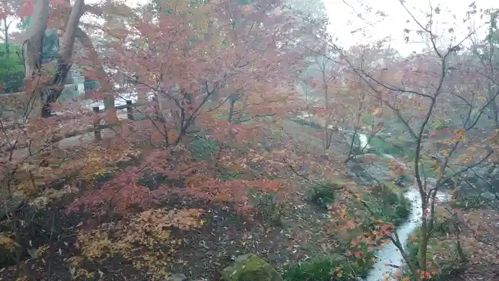 伏見稲荷大社の自然