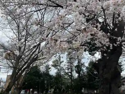 新田稲荷神社の自然
