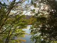 八雲神社の自然