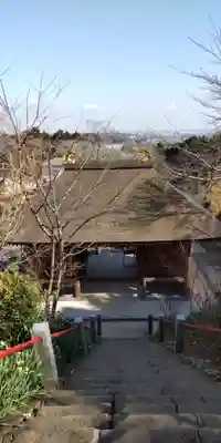 長谷寺(神奈川県)