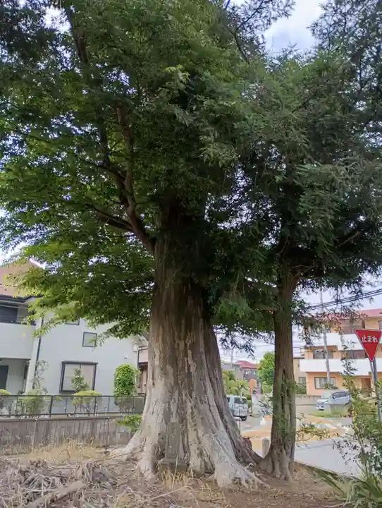 神明神社(茨城県)