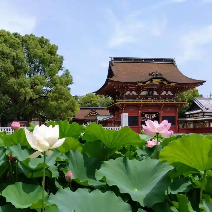 伊賀八幡宮(愛知県)