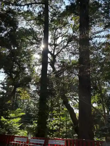 麻賀多神社の{uncategorized: "未分類", other: "その他", undefined: "問題あり", building: "その他建物", grave: "お墓", sacred_gate: "鳥居", guardian: "狛犬", statue: "像", buddha: "仏像", history: "歴史", nature: "自然", garden: "庭園", animal: "動物", pagoda: "塔", temizu: "手水舎", mountain_gate: "山門・神門", sanctuary: "本殿・本堂", subordinate: "末社・摂社", art: "芸術", scenery: "景色", jizo: "地蔵", ema: "絵馬", goshuin: "御朱印", omikuji: "おみくじ", items: "授与品その他", amulet: "お守り", goshuincho: "御朱印帳", eats: "食事", festival: "お祭り", votive_dance: "神楽", shichigosan: "七五三参", wedding: "結婚式", experience: "体験その他", initially: "初詣", around: "周辺", anti_infection: "感染症対策"}