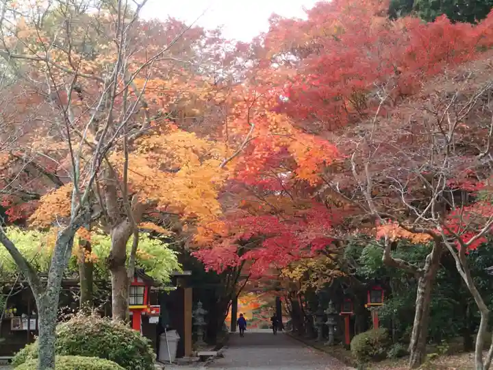大原野神社の自然