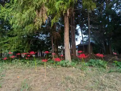 伏木香取神社(茨城県)