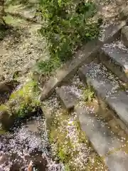 勝持寺（花の寺）の景色