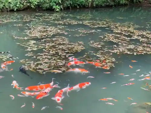 三光寺の庭園