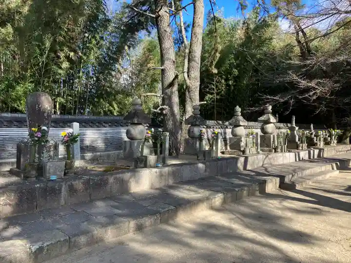 大樹寺(松安院大樹寺)(愛知県)