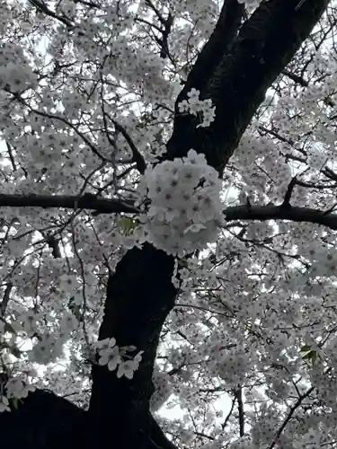 日蓮宗　浄運寺(東京都)