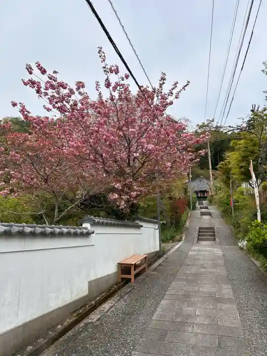 大谷寺の{uncategorized: "未分類", other: "その他", undefined: "問題あり", building: "その他建物", grave: "お墓", sacred_gate: "鳥居", guardian: "狛犬", statue: "像", buddha: "仏像", history: "歴史", nature: "自然", garden: "庭園", animal: "動物", pagoda: "塔", temizu: "手水舎", mountain_gate: "山門・神門", sanctuary: "本殿・本堂", subordinate: "末社・摂社", art: "芸術", scenery: "景色", jizo: "地蔵", ema: "絵馬", goshuin: "御朱印", omikuji: "おみくじ", items: "授与品その他", amulet: "お守り", goshuincho: "御朱印帳", eats: "食事", festival: "お祭り", votive_dance: "神楽", shichigosan: "七五三参", wedding: "結婚式", experience: "体験その他", initially: "初詣", around: "周辺", anti_infection: "感染症対策"}