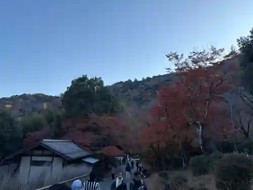 野宮神社(京都府)