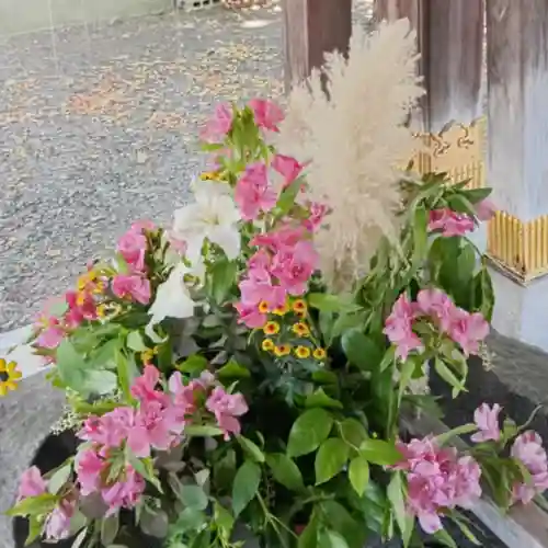 彌彦神社　(伊夜日子神社)(北海道)