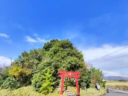厳島神社（弁天山）(徳島県)