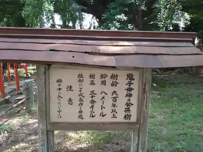 鬼子母神堂　(法明寺）のその他建物