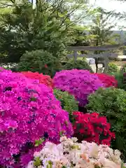 根津神社の庭園