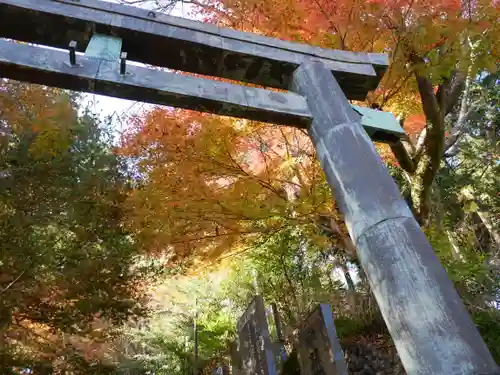 武蔵御嶽神社の鳥居