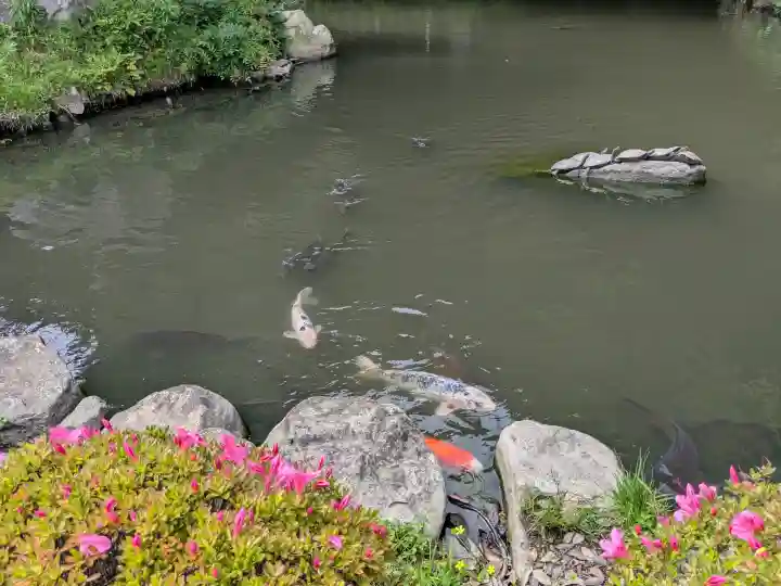 出雲大社北島国造館 出雲教(島根県)
