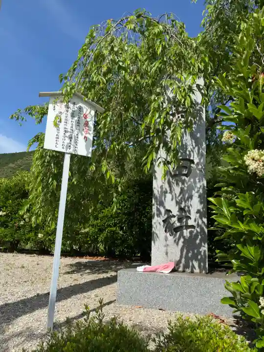 熊野本宮大社産田社の{uncategorized: "未分類", other: "その他", undefined: "問題あり", building: "その他建物", grave: "お墓", sacred_gate: "鳥居", guardian: "狛犬", statue: "像", buddha: "仏像", history: "歴史", nature: "自然", garden: "庭園", animal: "動物", pagoda: "塔", temizu: "手水舎", mountain_gate: "山門・神門", sanctuary: "本殿・本堂", subordinate: "末社・摂社", art: "芸術", scenery: "景色", jizo: "地蔵", ema: "絵馬", goshuin: "御朱印", omikuji: "おみくじ", items: "授与品その他", amulet: "お守り", goshuincho: "御朱印帳", eats: "食事", festival: "お祭り", votive_dance: "神楽", shichigosan: "七五三参", wedding: "結婚式", experience: "体験その他", initially: "初詣", around: "周辺", anti_infection: "感染症対策"}