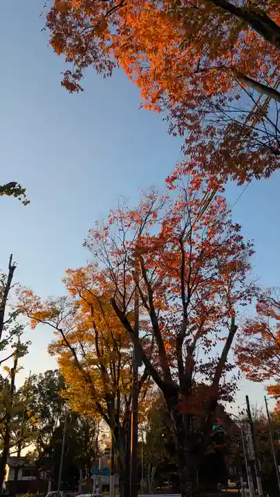 是住院(京都府)