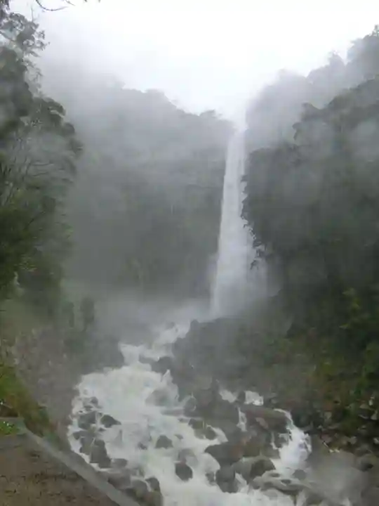飛瀧神社(熊野那智大社別宮)の自然