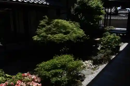 観智院（東寺子院）の庭園