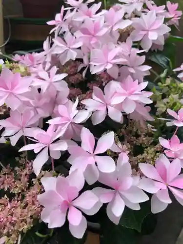 川併神社の自然