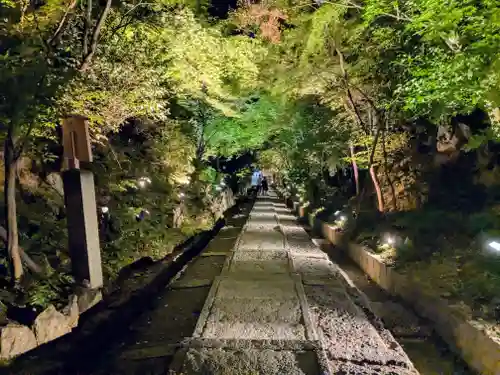 高台寺（高台寿聖禅寺・高臺寺）(京都府)
