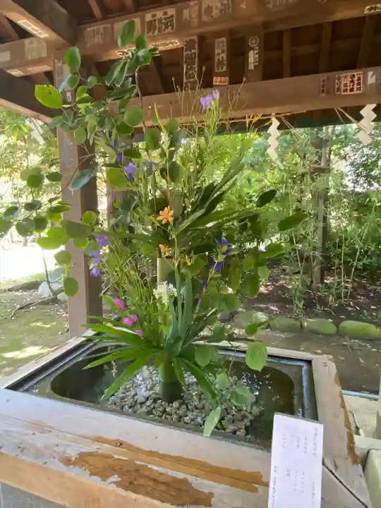 赤坂氷川神社(東京都)