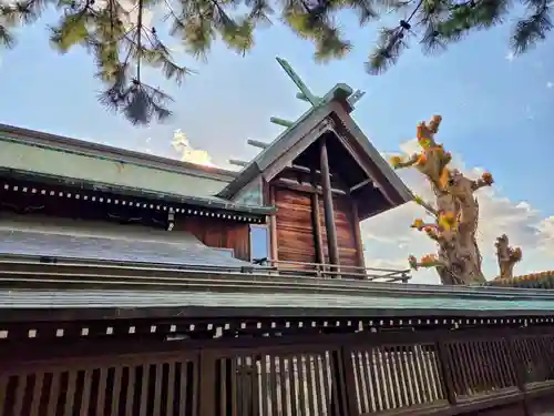 伊勢神社(佐賀県)