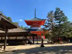 壇上伽藍の建物その他