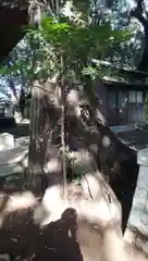 熱田神社の建物その他